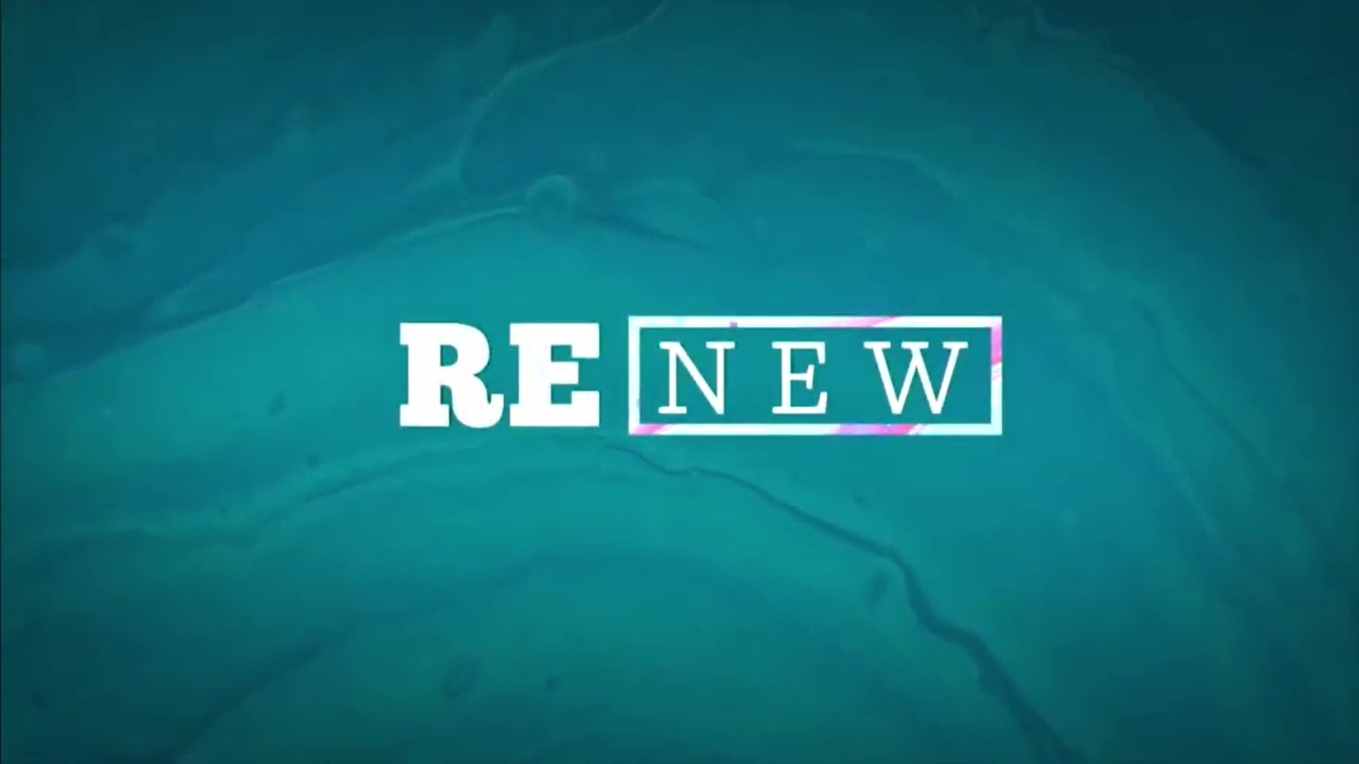 RENEW Bumper Video 01_Moment.jpg